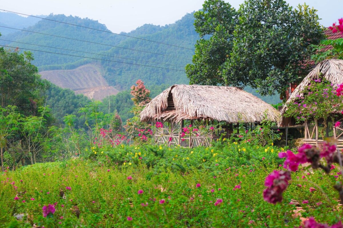 Nên-đi-suối-hoa-Đà-Nẵng-thời-điểm-nào