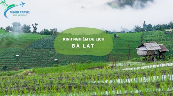 Kinh nghiệm hay ho để trải nghiệm du lịch tại Đà Lạt