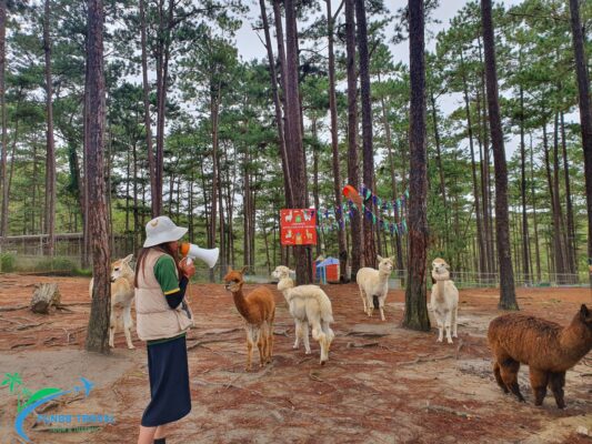 Tại vườn thú Zoodoo có trên 10 giống loài sinh sống 